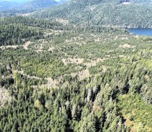 9 Read Island  Read Island, BC V0P 1W0