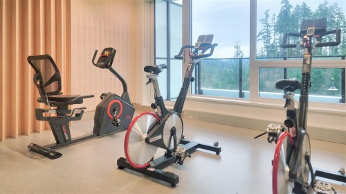 808-2000 Hannington Rd, Langford, BC - Indoor Photo Showing Gym Room