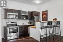 102 - 360 Cumberland Street, Ottawa, ON  - Indoor Photo Showing Kitchen 