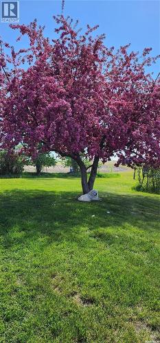 Key West Quarter, Ogema, SK - Outdoor