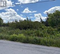 180 Central Street Bay Roberts, NL A0A 1G0