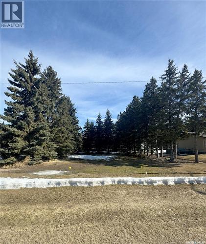 315 2Nd Street, Waldheim, SK 