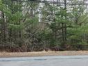169 Salmon River Drive, Westphal, NS 