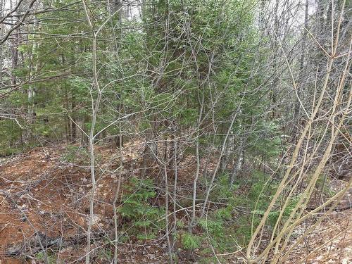 169 Salmon River Drive, Westphal, NS 