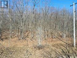 LOT 33 MACAVALLEY ROAD Tiny, ON None