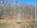 Lot 33 Macavalley Road, Tiny, ON 