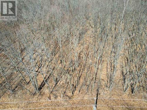 Lot 33 Macavalley Road, Tiny, ON 