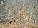 Lot 33 Macavalley Road, Tiny, ON 