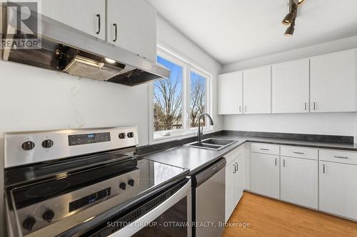 110 Pigeon Terrace, Ottawa, ON - Indoor Photo Showing Kitchen With Double Sink
