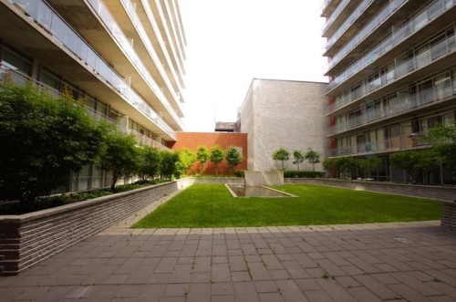 Jardin - 207-630 Rue William, Montréal (Ville-Marie), QC - Outdoor