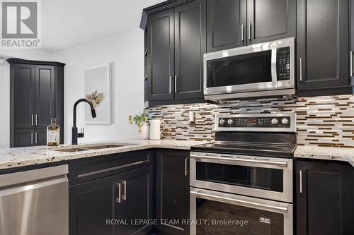 161 Springwater Drive, Ottawa, ON - Indoor Photo Showing Kitchen With Double Sink With Upgraded Kitchen