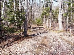 21 Lot Riverview Drive Brooklyn, NS B0N 2A0