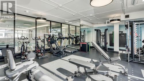 904 - 695 Richmond Street, London East (East F), ON - Indoor Photo Showing Gym Room