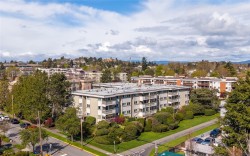 401-1525 Hillside Ave Victoria, BC V8T 2C1