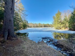 296 Ch. Edina  Brownsburg-Chatham, QC J8G 1G2