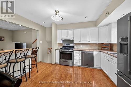 210 Columbia Drive, Hamilton, ON - Indoor Photo Showing Kitchen