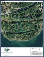 Corra Linn Road Lot# 41 & 41A  Bonnington, BC V0G 2G3
