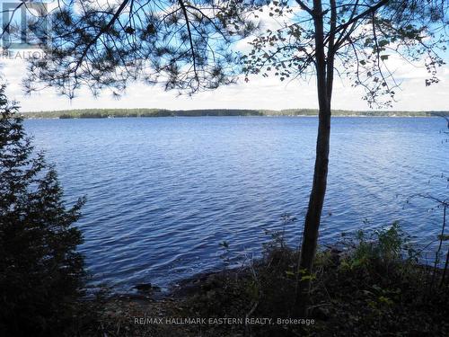 1420 ISLAND 76 STONEY LAKE  Douro-Dummer, ON K0L 2H0