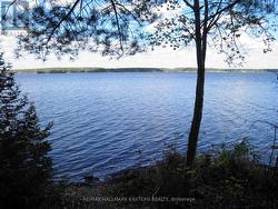 1420 ISLAND 76 STONEY LAKE Douro-Dummer, ON K0L 2H0