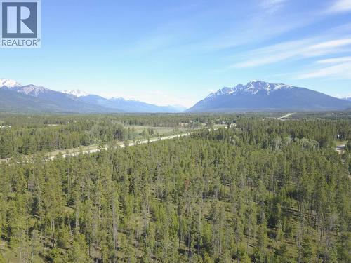 1105 S 5 Highway, Valemount, BC 