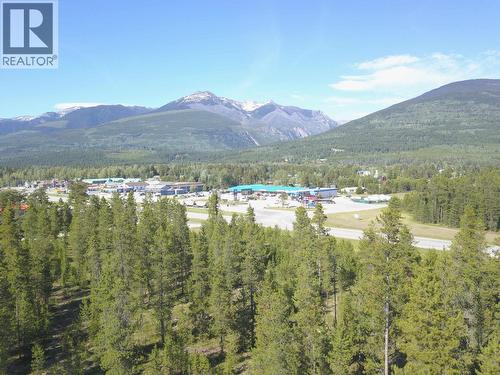 1105 S 5 Highway, Valemount, BC 