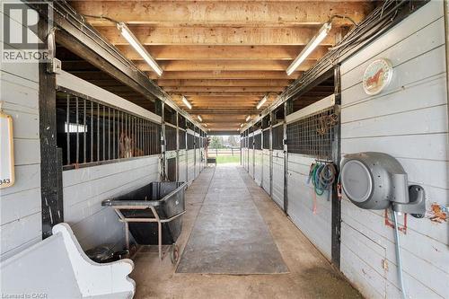 Multi-stall barn interior featuring exposed wood beam ceiling and concrete flooring - 2223 Hall Road, Binbrook, ON - Indoor Photo Showing Other Room
