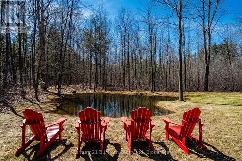 PRIVATE POND - 291 Concession Road 8 E, Tiny, ON - Outdoor With View