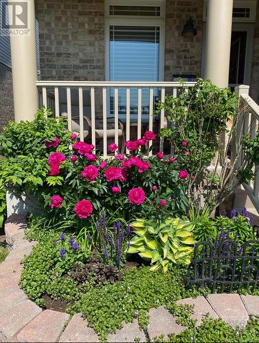 11 Red Cedar Lane, Essa, ON - Outdoor