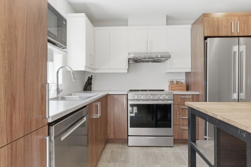 Cuisine - 45 Rue De L'Affluent, Saint-Hippolyte, QC - Indoor Photo Showing Kitchen With Double Sink