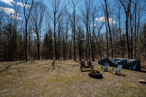 Cour - 45 Rue De L'Affluent, Saint-Hippolyte, QC - Outdoor With View