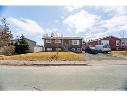 21 Rutledge Crescent St. John's, NL A1A 3J5