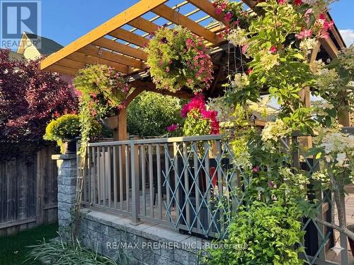48 Heron Hollow Avenue, Richmond Hill, ON - Outdoor