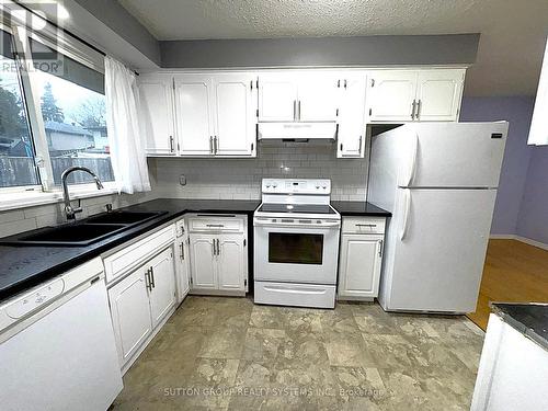 42 Ingleside Drive, Kitchener, ON - Indoor Photo Showing Kitchen With Double Sink