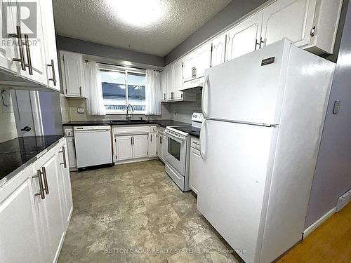 42 Ingleside Drive, Kitchener, ON - Indoor Photo Showing Kitchen