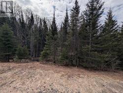 0 518 E HIGHWAY Perry (Emsdale), ON P0A 1J0