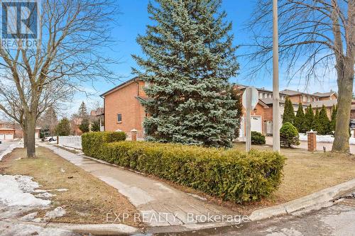 Main - 61 Dundee Crescent, Markham, ON - Outdoor