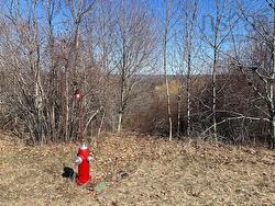 Lot 2 Alder Drive Hantsport, NS B0P 1P0
