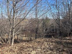Lot 3 Alder Drive Hantsport, NS B0P 1P0