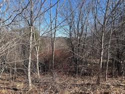 Lot 4 Alder Drive Hantsport, NS B0P 1P0