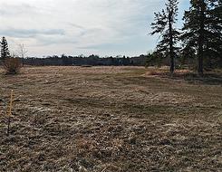 209 Diane DR West St Paul, MB R4A 1A7