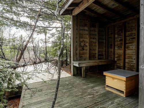 12 Falcon Place, Halifax, NS 