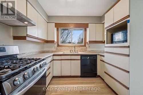 124 Montcalm Drive, Kitchener, ON - Indoor Photo Showing Kitchen With Double Sink