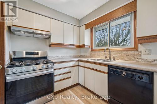124 Montcalm Drive, Kitchener, ON - Indoor Photo Showing Kitchen With Double Sink