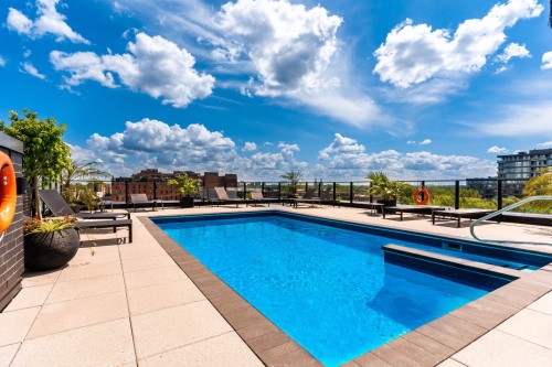 Pool - 605-315 Rue Richmond, Montréal (Le Sud-Ouest), QC - Outdoor With In Ground Pool With View