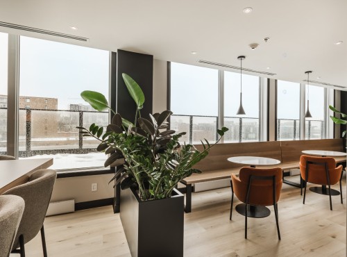 Common room - 605-315 Rue Richmond, Montréal (Le Sud-Ouest), QC - Indoor