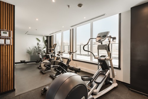 Exercise Room - 605-315 Rue Richmond, Montréal (Le Sud-Ouest), QC - Indoor Photo Showing Gym Room