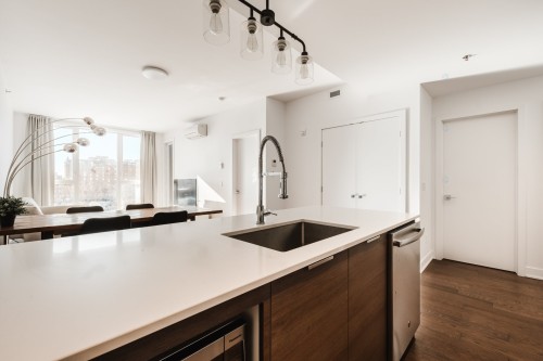 Kitchen - 605-315 Rue Richmond, Montréal (Le Sud-Ouest), QC - Indoor Photo Showing Kitchen With Upgraded Kitchen