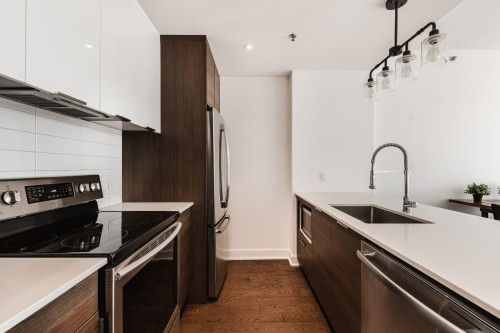 Kitchen - 605-315 Rue Richmond, Montréal (Le Sud-Ouest), QC - Indoor Photo Showing Kitchen With Upgraded Kitchen