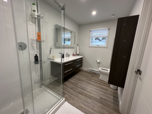 Salle de bains - 12 Rue André Gingras, Saint-Donat, QC - Indoor Photo Showing Bathroom