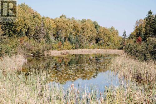 445 Fox Run, Temagami, ON 